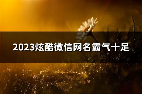 2023炫酷微信网名霸气十足(共1832个)