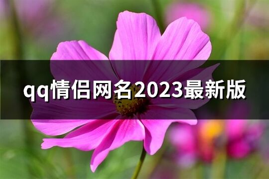 qq情侣网名2023最新版(优选72个)