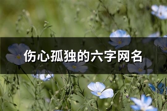 伤心孤独的六字网名(优选462个)