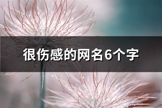 很伤感的网名6个字(975个)