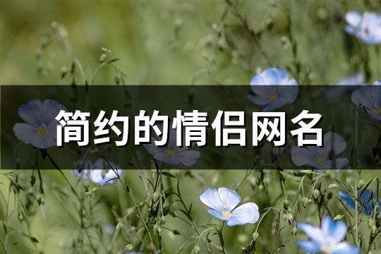 简约的情侣网名(301个)