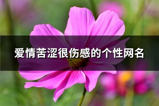 爱情苦涩很伤感的个性网名(共131个)