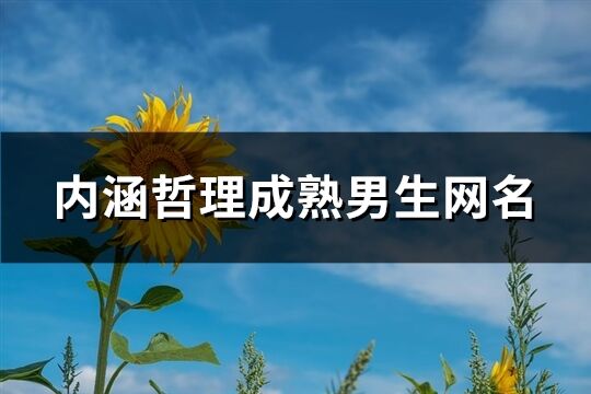 内涵哲理成熟男生网名(优选207个)