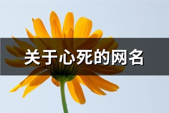 关于心死的网名(精选410个)