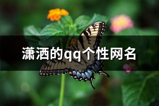 潇洒的qq个性网名(优选192个)