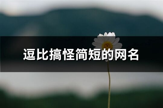 逗比搞怪简短的网名(共449个)