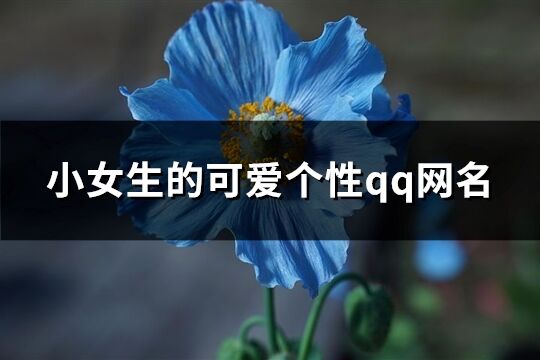 小女生的可爱个性qq网名(共418个)