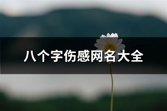 八个字伤感网名大全(共493个)