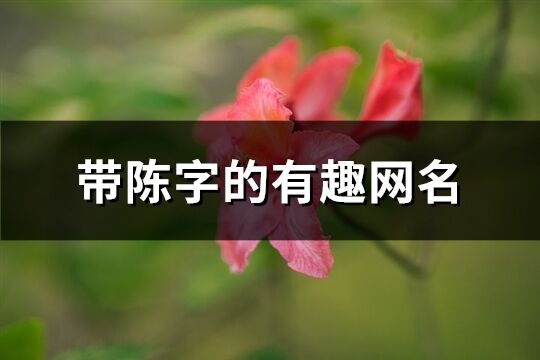 带陈字的有趣网名(优选131个)