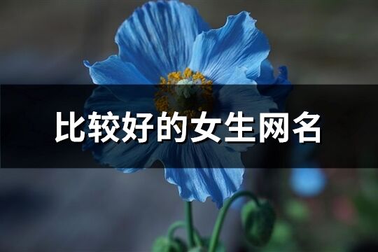 比较好的女生网名(优选301个)