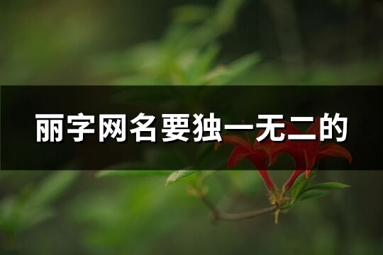 丽字网名要独一无二的(99个)