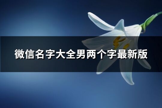 微信名字大全男两个字最新版(精选1732个)