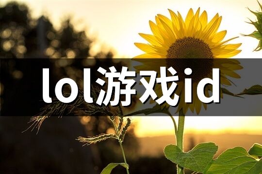 lol游戏id(优选547个)