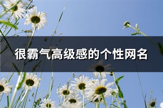 很霸气高级感的个性网名(优选528个)