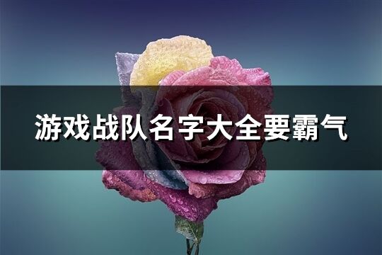 游戏战队名字大全要霸气(共337个)