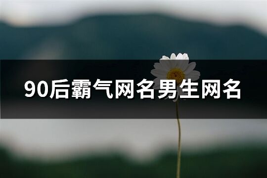 90后霸气网名男生网名(精选311个)