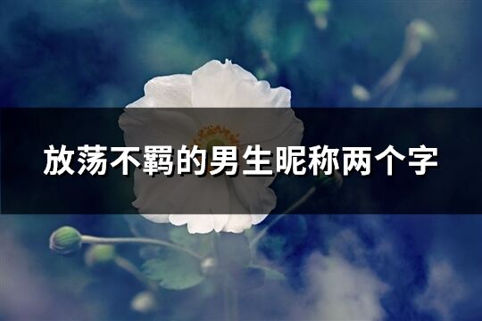 放荡不羁的男生昵称两个字(共288个)