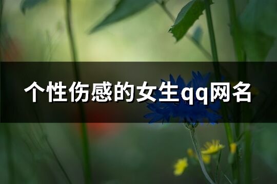 个性伤感的女生qq网名(335个)