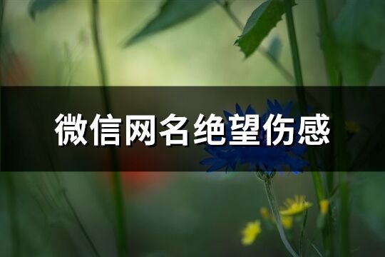 微信网名绝望伤感(精选369个)