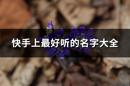 快手上最好听的名字大全(优选380个)