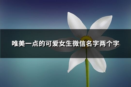 唯美一点的可爱女生微信名字两个字(优选505个)