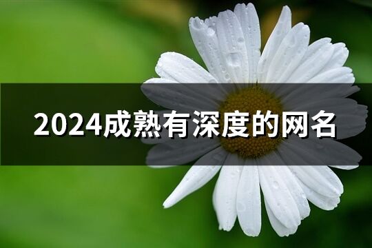 2024成熟有深度的网名(344个)