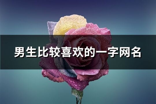 男生比较喜欢的一字网名(精选293个)