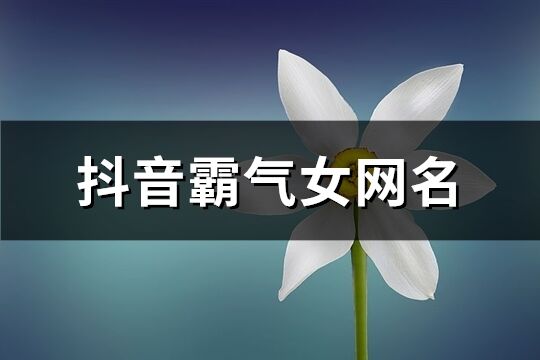 抖音霸气女网名(共475个)