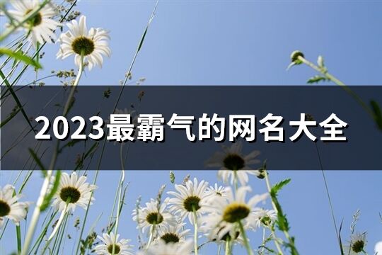 2023最霸气的网名大全(优选1454个)