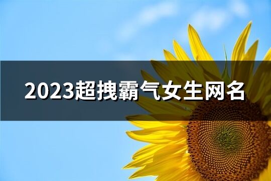 2023超拽霸气女生网名(精选615个)