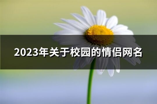 2023年关于校园的情侣网名(优选189个)