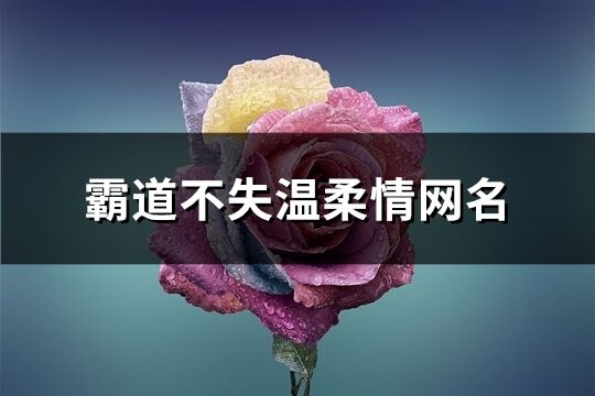 霸道不失温柔情网名(精选361个)