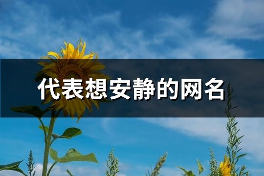 代表想安静的网名(精选749个)