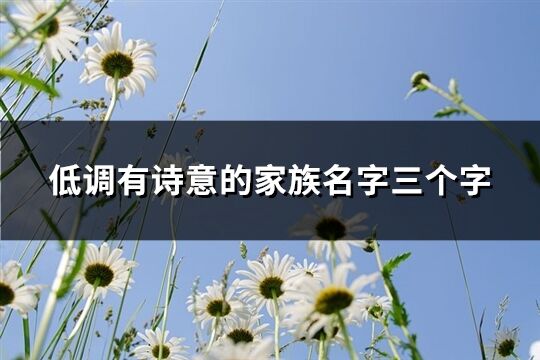 低调有诗意的家族名字三个字(共251个)