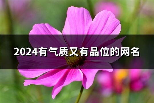 2024有气质又有品位的网名(优选256个)