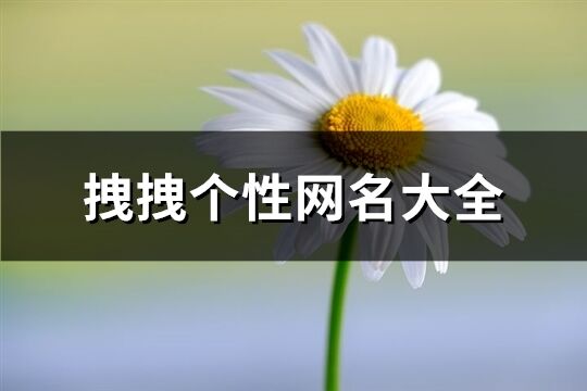 拽拽个性网名大全(共209个)