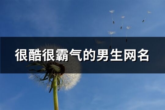 很酷很霸气的男生网名(共716个)