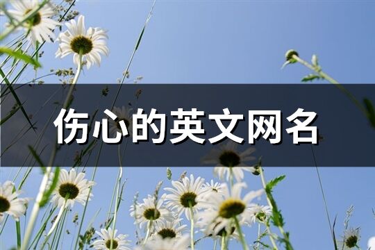 伤心的英文网名(共89个)