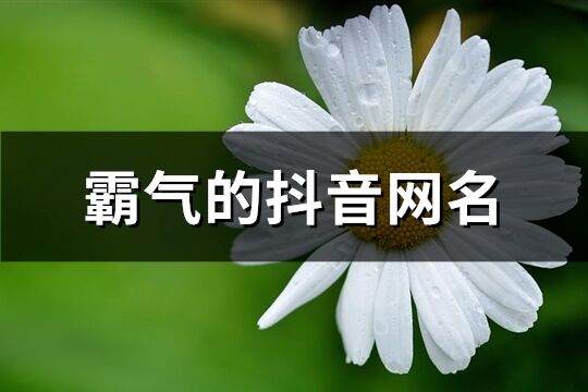 霸气的抖音网名(精选757个)