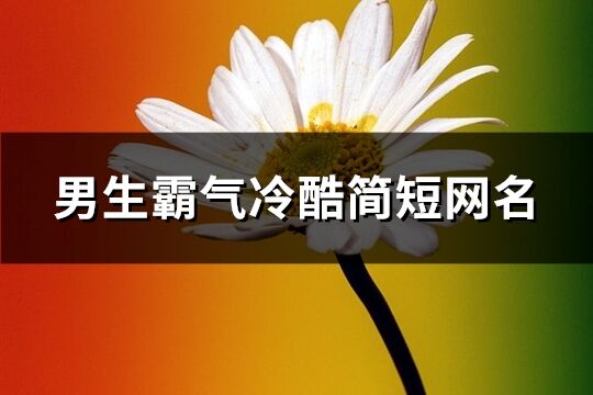 男生霸气冷酷简短网名(共222个)