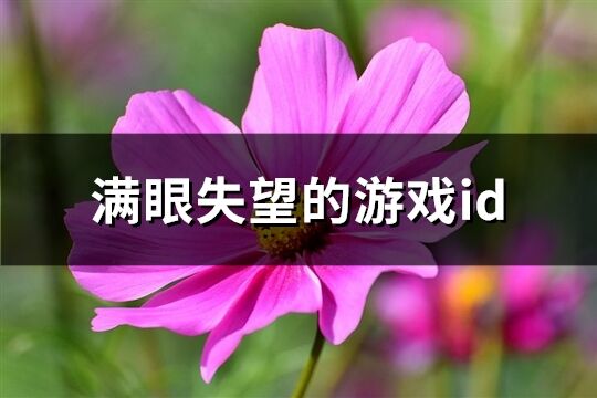 满眼失望的游戏id(323个)