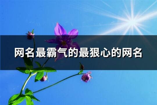 网名最霸气的最狠心的网名(精选209个)