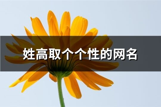 姓高取个个性的网名(共124个)