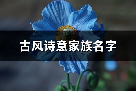 古风诗意家族名字(精选549个)