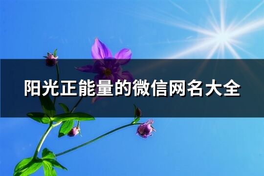 阳光正能量的微信网名大全(精选588个)