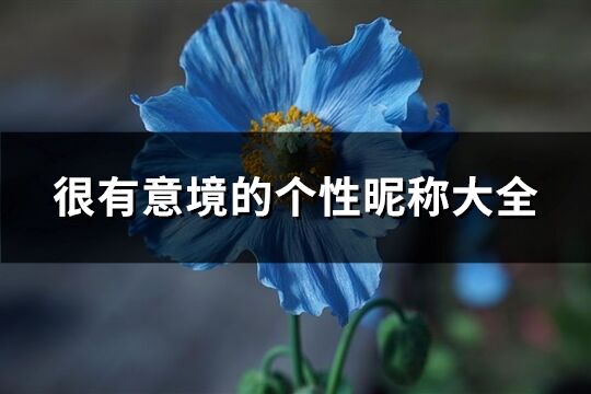 很有意境的个性昵称大全(共348个)