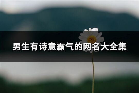 男生有诗意霸气的网名大全集(共261个)