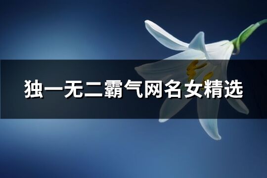 独一无二霸气网名女精选(共52个)