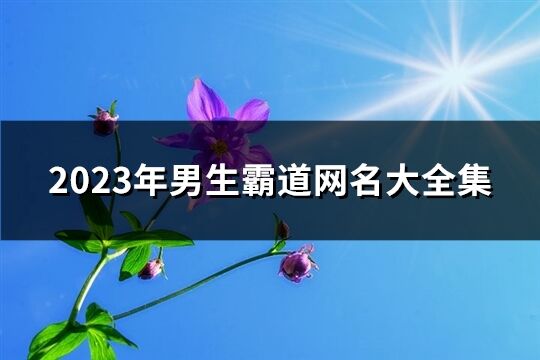 2023年男生霸道网名大全集(共1241个)