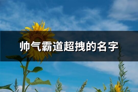 帅气霸道超拽的名字(精选997个)